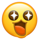 ng, 终审, impor