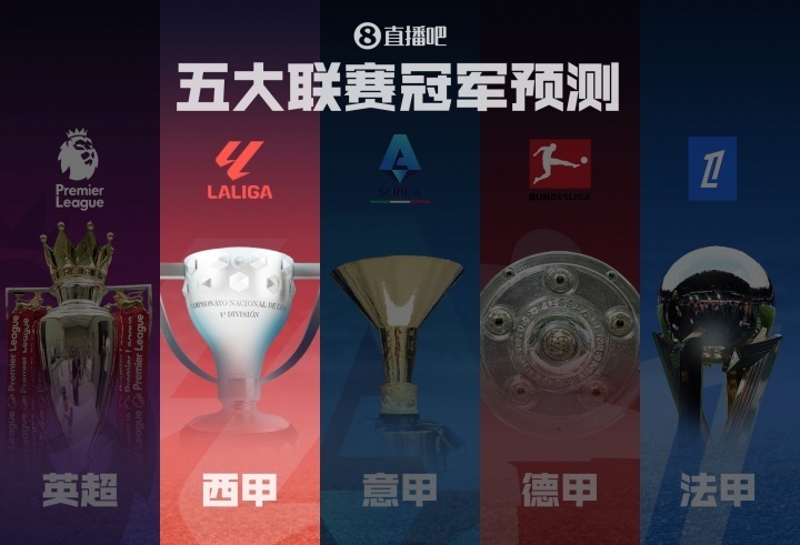 费尔明